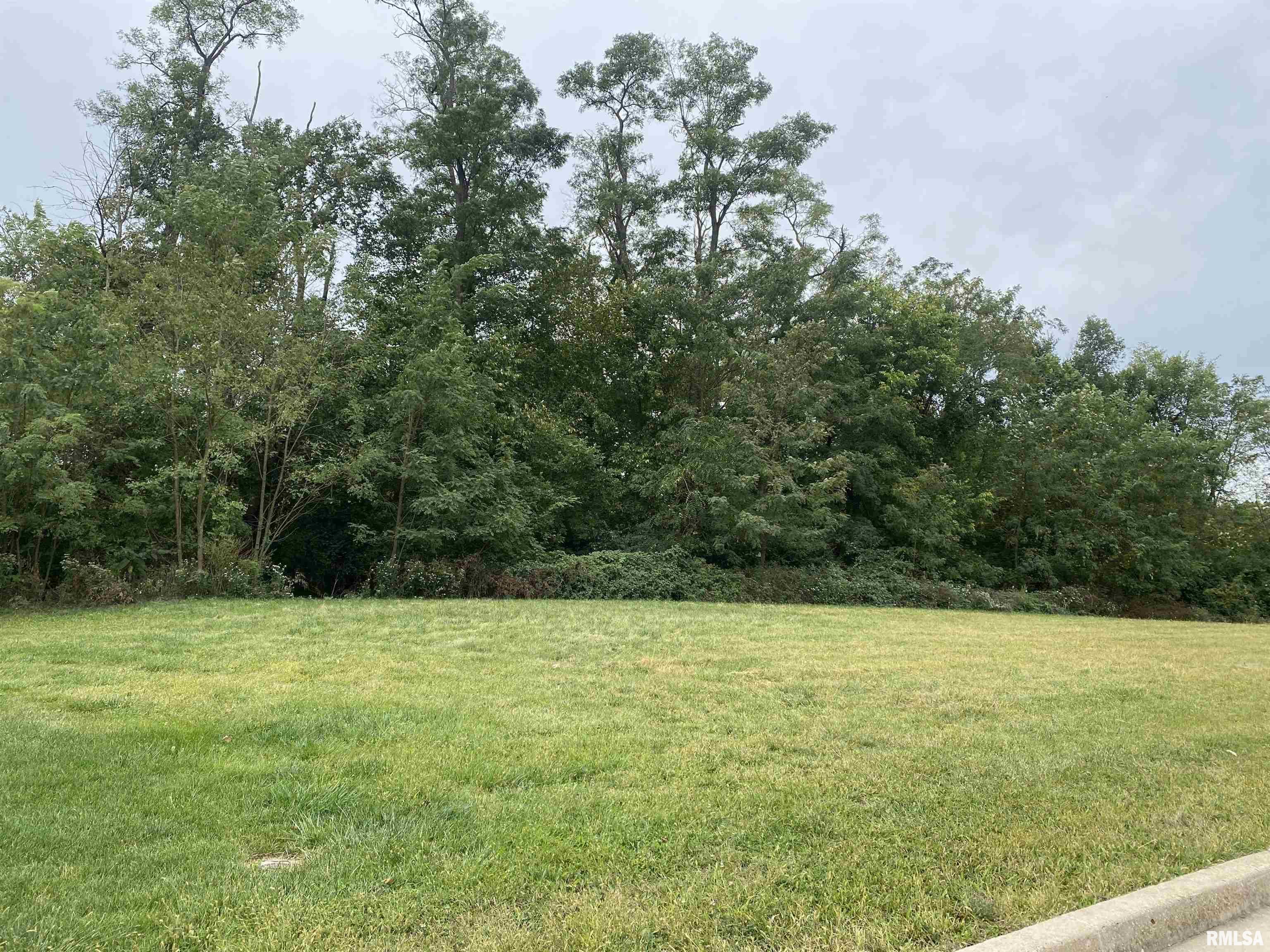 Lot/Land for sale at Lot 22 W Woods Edge Drive  in Peoria Illinois!